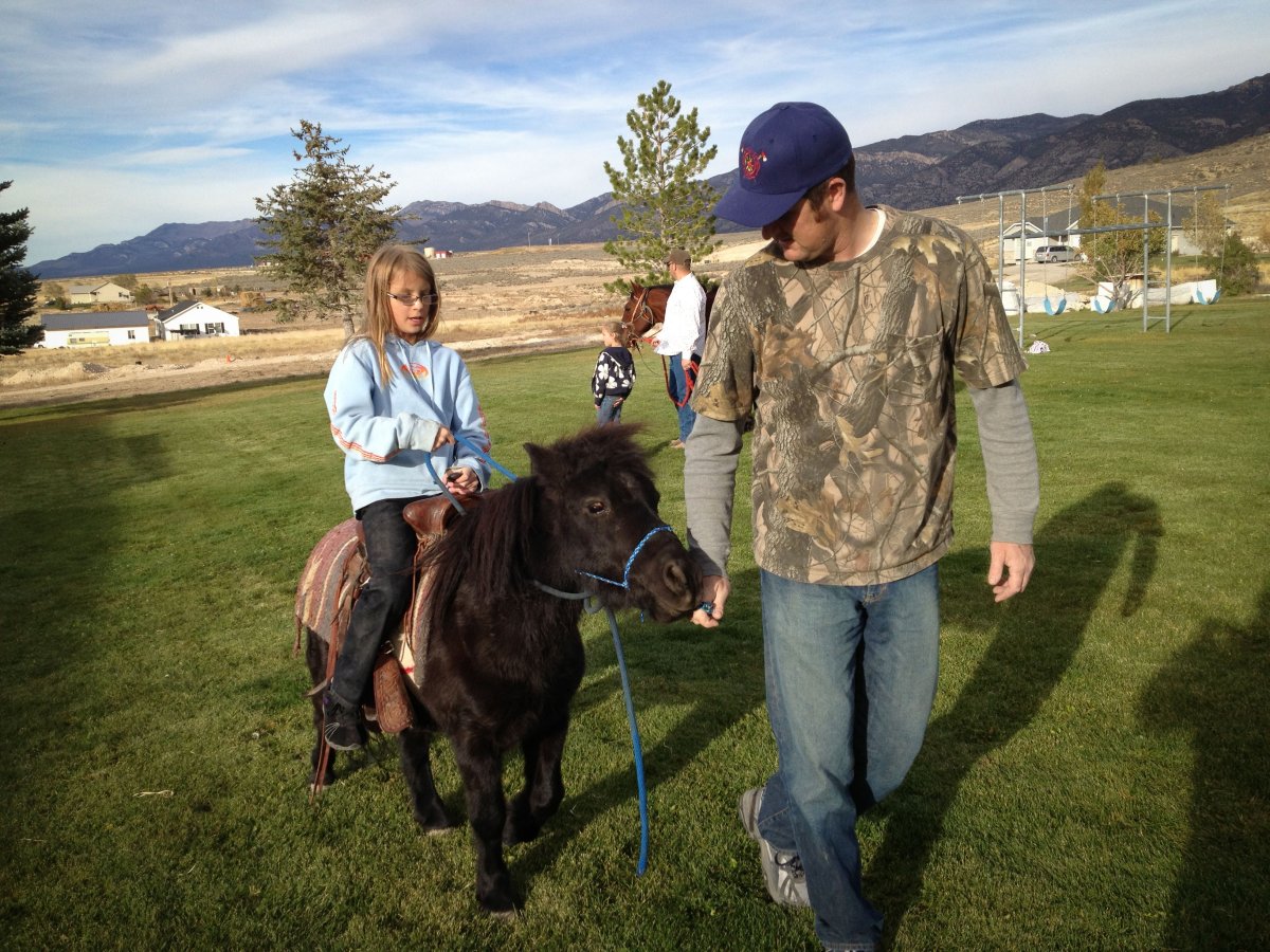 pony rides