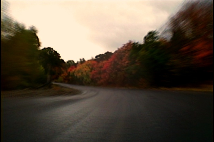 image-0005